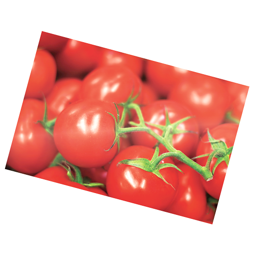 Glossy Pouches - 5mil, Picture Perfect, 25 pack