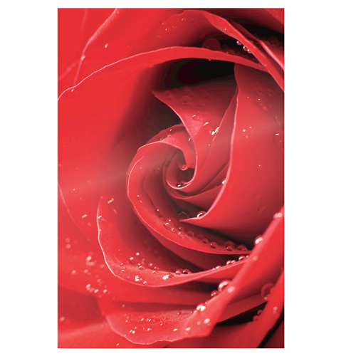 Glossy Pouches - 5mil, Picture Perfect, 25 pack